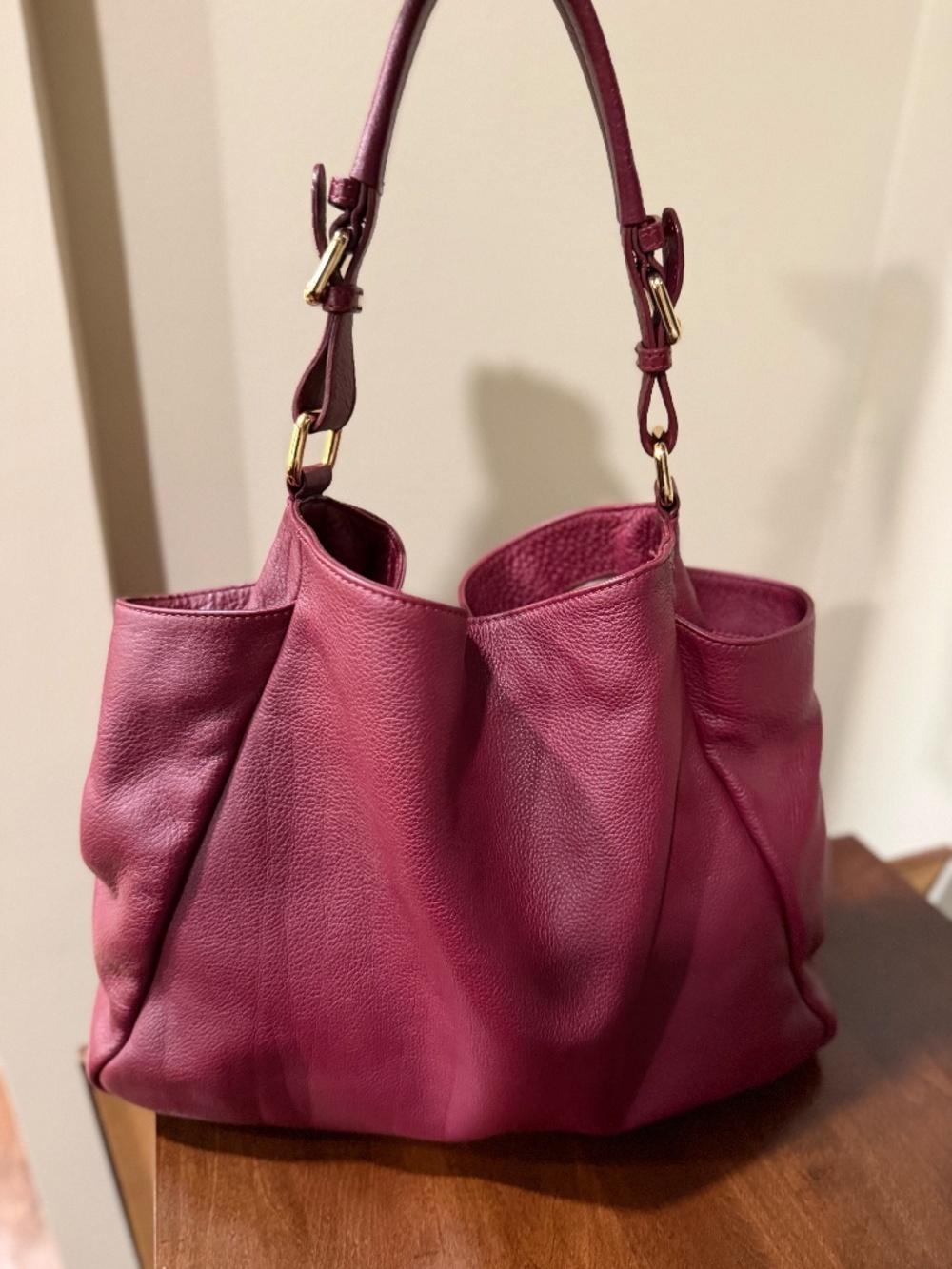 Iacucci Red Leather Bag